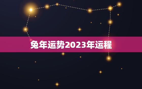 兔年运势2023年运程，麦玲玲2023年兔年运程