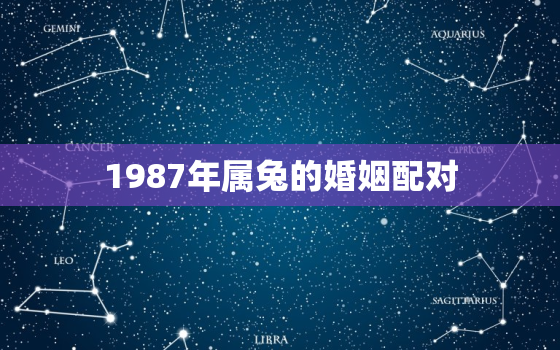 1987年属兔的婚姻配对，1987年属兔女的婚姻配对