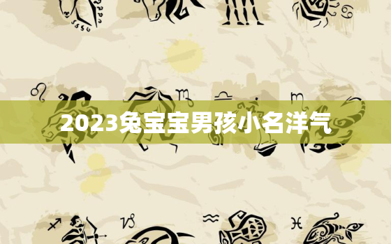 2023兔宝宝男孩小名洋气，2023兔年宝宝取名最佳用字