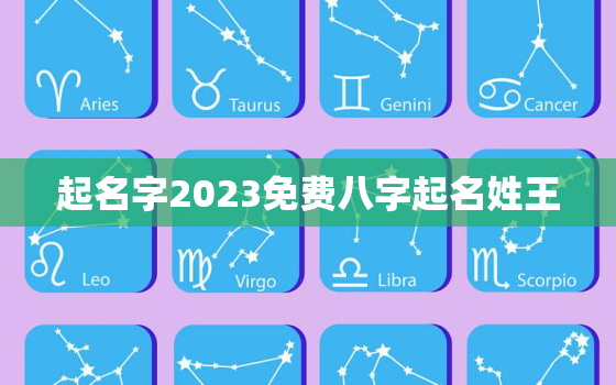 起名字2023免费八字起名姓王，起名 王