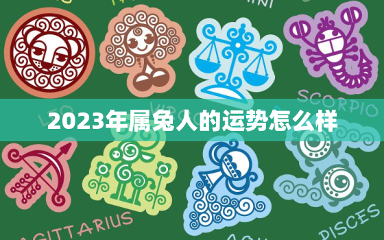 2023年属兔人的运势怎么样，2023年属兔人运气