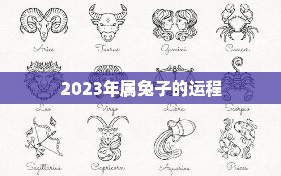 2023年属兔子的运程，2023年属兔人的运气如何