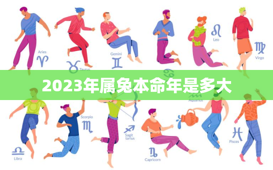 2023年属兔本命年是多大，2023年本命年多少岁