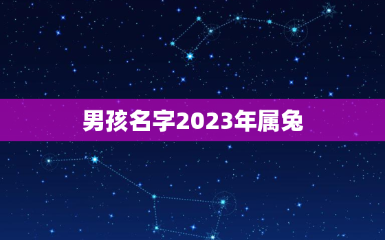 男孩名字2023年属兔，2023年属兔宝宝取名