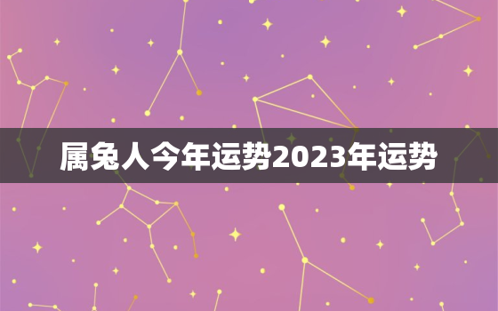 属兔人今年运势2023年运势，属兔2023年运势及运程_2022年属兔人的全年运势