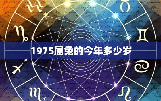 1975属兔的今年多少岁，属兔的1975今年多大了