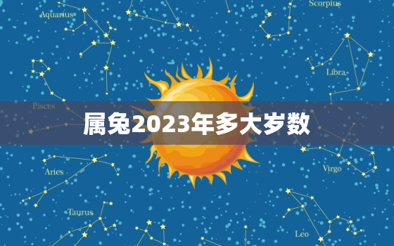 属兔2023年多大岁数，属兔2031年多大