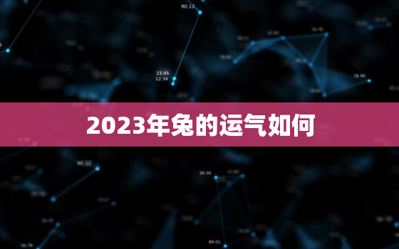 2023年兔的运气如何，2023年生肖兔年运势