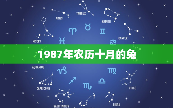 1987年农历十月的兔，1987年农历十月兔宝宝命运