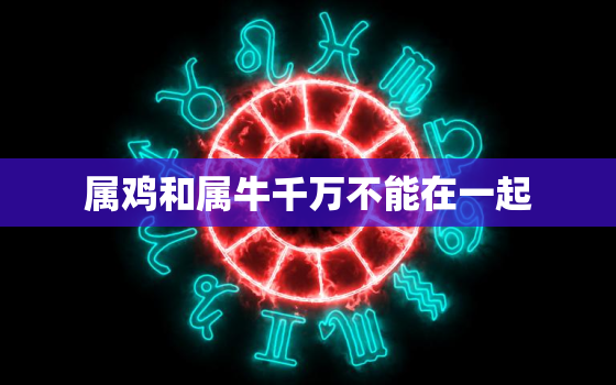 属鸡和属牛千万不能在一起，属牛男和属
谁更爱对方