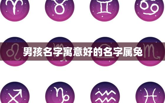 男孩名字寓意好的名字属兔，属兔男孩取名字