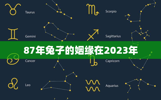 87年兔子的姻缘在2023年，1987年属兔的202i年婚姻