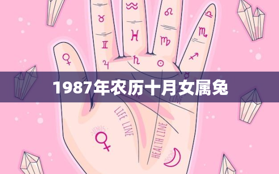 1987年农历十月女属兔，1987年农历十月属兔的人