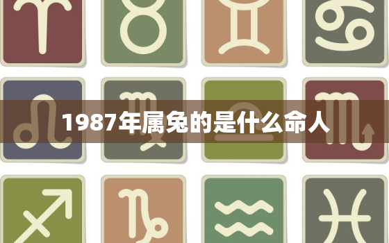 1987年属兔的是什么命人，1987年的属兔人是什么命运如何