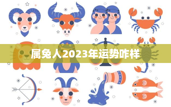 属兔人2023年运势咋样，属兔的2023年运势怎么样