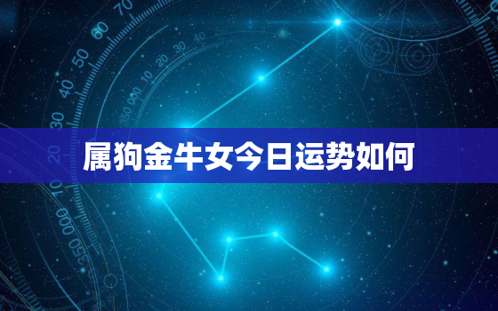 属狗金牛女今日运势如何，属狗女金牛座的
实性格