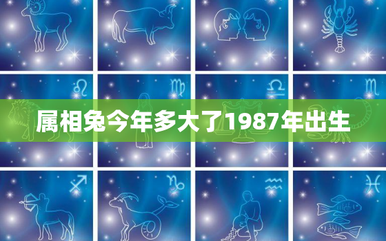 属相兔今年多大了1987年出生，属兔今年是几岁