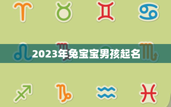 2023年兔宝宝男孩起名，2023属兔男孩最吉利的名字