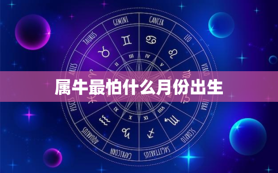 属牛最怕什么月份出生，属牛的最怕什么