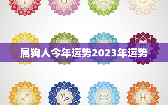 属狗人今年运势2023年运势，属狗人今年运势2023年运势如何