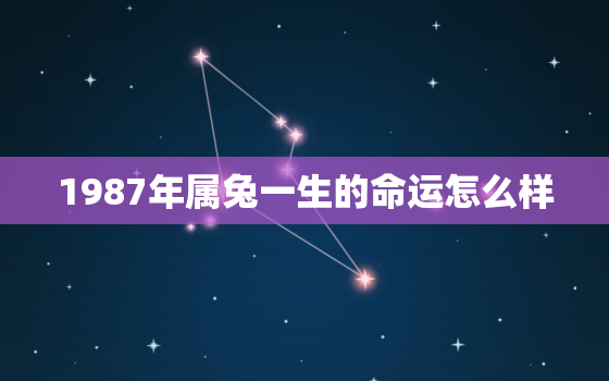 1987年属兔一生的命运怎么样，1987年属兔子的一生命运