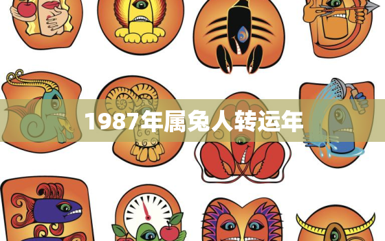 1987年属兔人转运年，1987属兔转折点