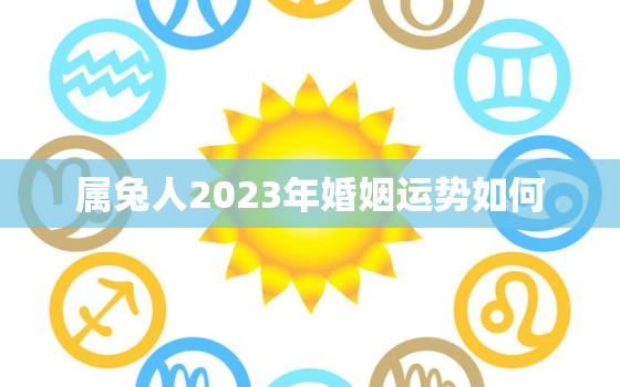 属兔人2023年婚姻运势如何，属兔2023年运势及运程_2023年属兔人的全年运势