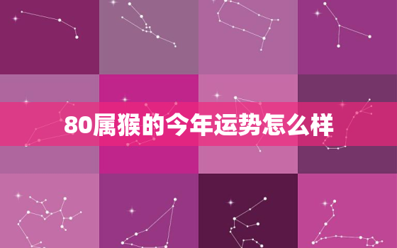 80属猴的今年运势怎么样，80属猴人今年运势2021年每月运势