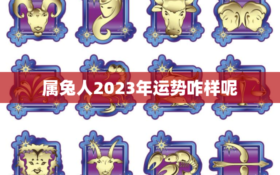 属兔人2023年运势咋样呢，属兔2023年运势及运程_2023年属兔人的全年运势