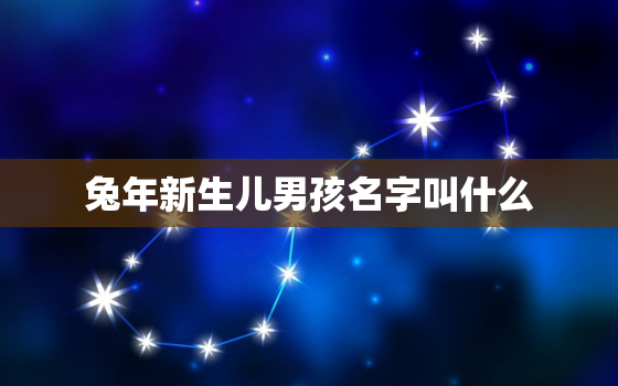 兔年新生儿男孩名字叫什么，兔年出生的宝宝取名