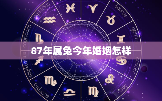 87年属兔今年婚姻怎样，87年属兔2022年婚姻最终归宿