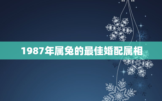 1987年属兔的最佳婚配属相，1987年属兔的婚姻配对