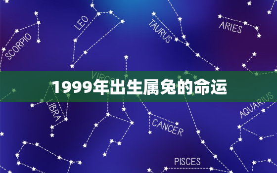 1999年出生属兔的命运，1999年属兔人的一生命运