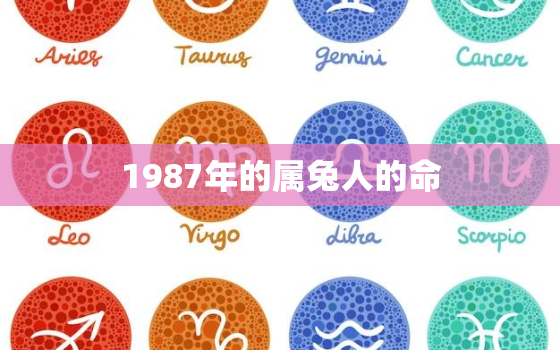 1987年的属兔人的命，1987年属兔人的命运怎么样