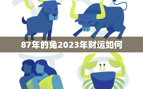 87年的兔2023年财运如何，87年属兔2023