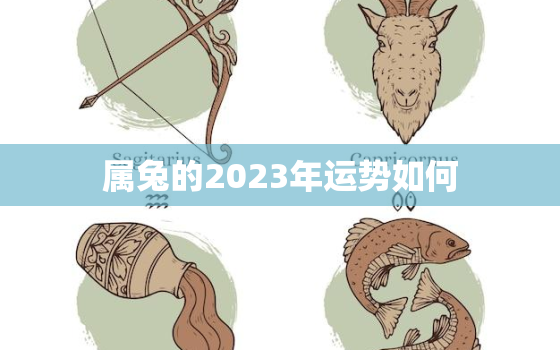 属兔的2023年运势如何，87兔2023年本命年运势