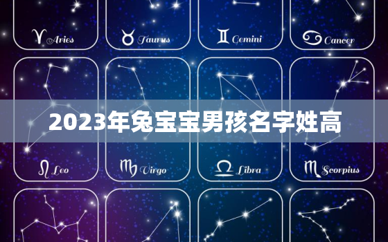 2023年兔宝宝男孩名字姓高，2023年属兔
宝