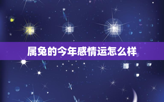 属兔的今年感情运怎么样，属兔的今年感情运势