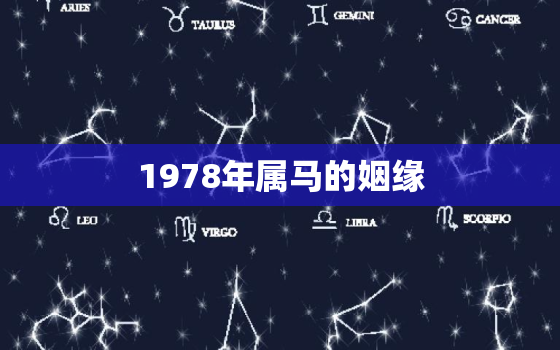 1978年属马的姻缘，1978年属马的一生婚姻爱情