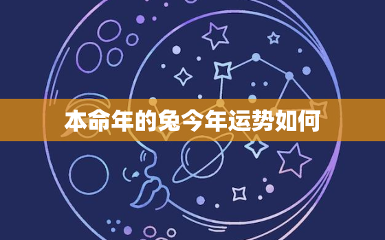 本命年的兔今年运势如何，本命年兔子