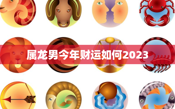 属龙男今年财运如何2023，属龙男在2022年运势