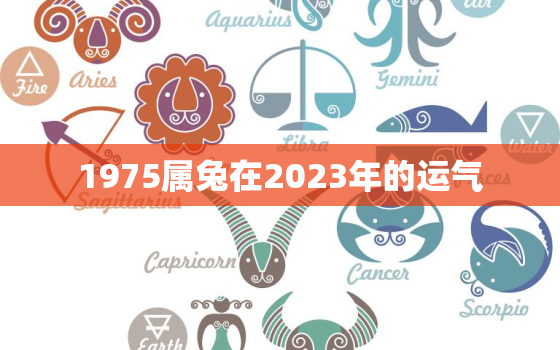 1975属兔在2023年的运气，1975属兔2023年46岁以后运气