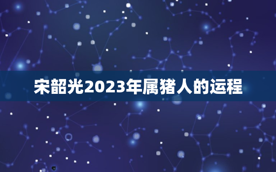 宋韶光2023年属猪人的运程，宋韶光2022年属猪的全年运势