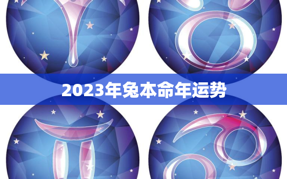 2023年兔本命年运势，2023本命年属什么生肖