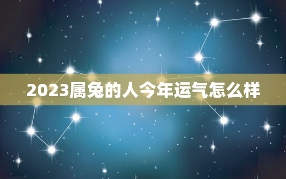 2023属兔的人今年运气怎么样，属兔2023年运势及运程_2023年属兔人的全年运势