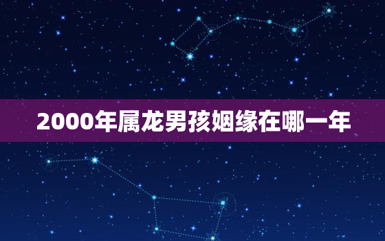 2000年属龙男孩姻缘在哪一年，2000年属龙男孩姻缘在哪一年左凤绵