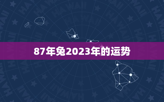 87年兔2023年的运势，87年属兔一生命运如何