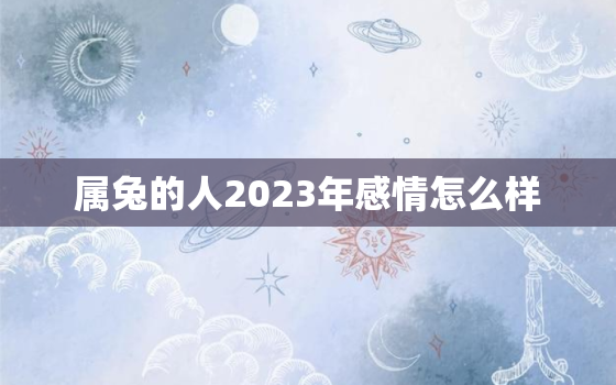 属兔的人2023年感情怎么样，属兔在2023年婚姻怎么样