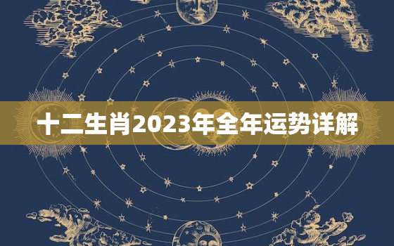 十二生肖2023年全年运势详解，麦玲玲2023年兔年运程