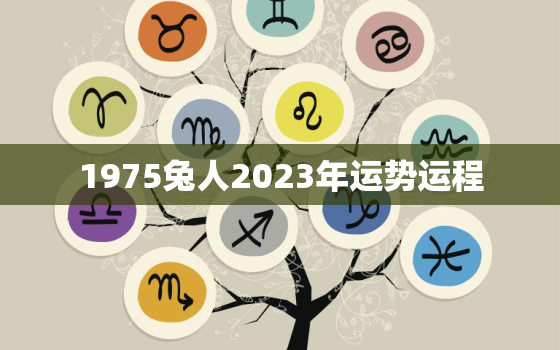 1975兔人2023年运势运程，1975属兔2023年47岁以后运气